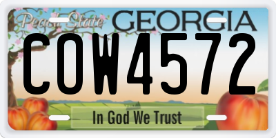 GA license plate COW4572