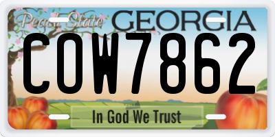 GA license plate COW7862