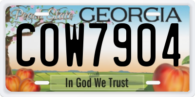 GA license plate COW7904
