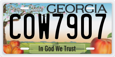 GA license plate COW7907