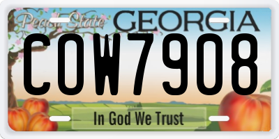 GA license plate COW7908