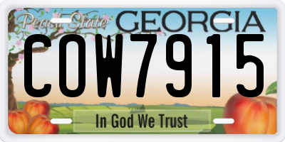 GA license plate COW7915
