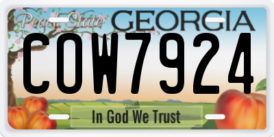 GA license plate COW7924