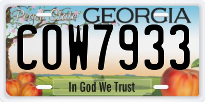 GA license plate COW7933