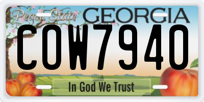 GA license plate COW7940