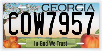 GA license plate COW7957