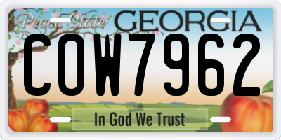 GA license plate COW7962