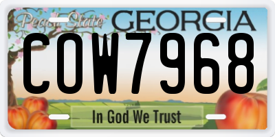 GA license plate COW7968