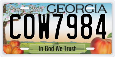 GA license plate COW7984