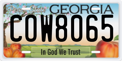 GA license plate COW8065