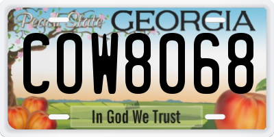 GA license plate COW8068