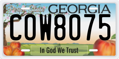 GA license plate COW8075