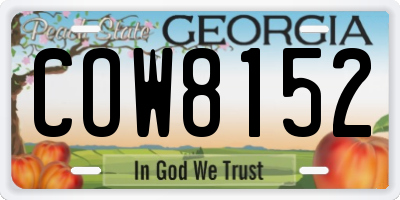 GA license plate COW8152