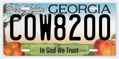 GA license plate COW8200