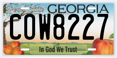 GA license plate COW8227