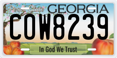 GA license plate COW8239