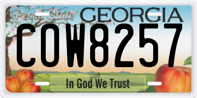 GA license plate COW8257