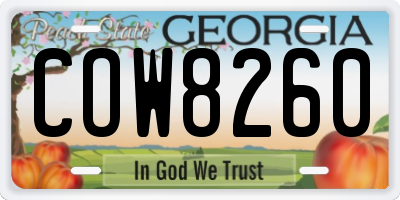 GA license plate COW8260