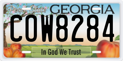 GA license plate COW8284