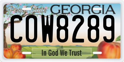GA license plate COW8289