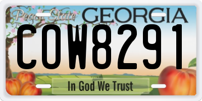 GA license plate COW8291