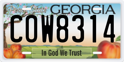 GA license plate COW8314