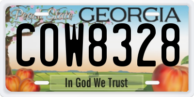 GA license plate COW8328