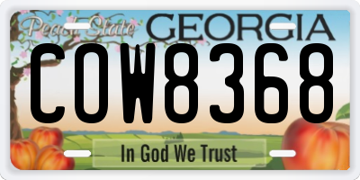 GA license plate COW8368