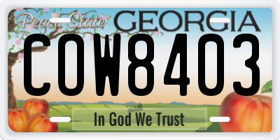 GA license plate COW8403