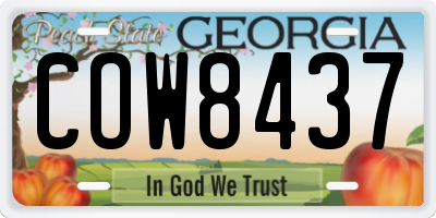 GA license plate COW8437