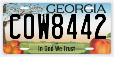 GA license plate COW8442