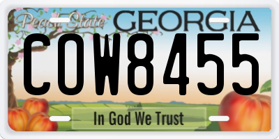 GA license plate COW8455