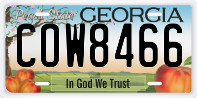 GA license plate COW8466