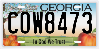 GA license plate COW8473