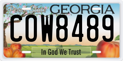 GA license plate COW8489