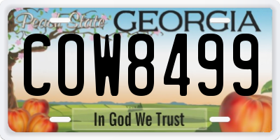GA license plate COW8499
