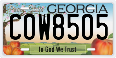 GA license plate COW8505