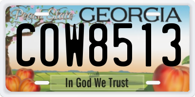 GA license plate COW8513