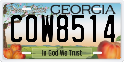GA license plate COW8514