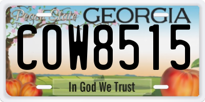 GA license plate COW8515