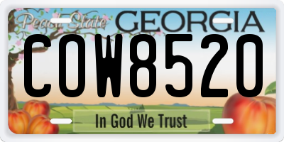 GA license plate COW8520