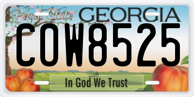 GA license plate COW8525
