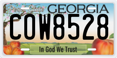 GA license plate COW8528