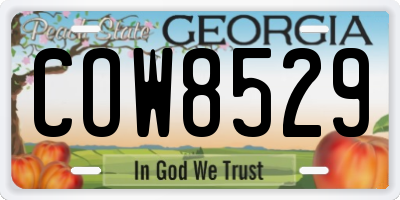GA license plate COW8529