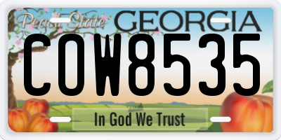 GA license plate COW8535
