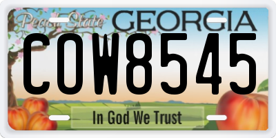 GA license plate COW8545