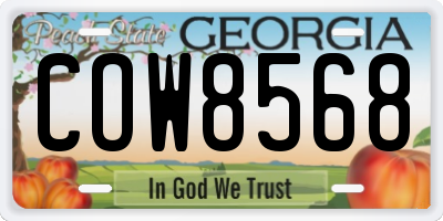 GA license plate COW8568