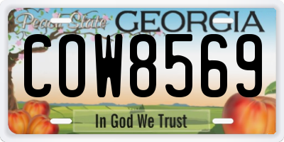 GA license plate COW8569