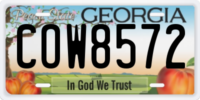 GA license plate COW8572