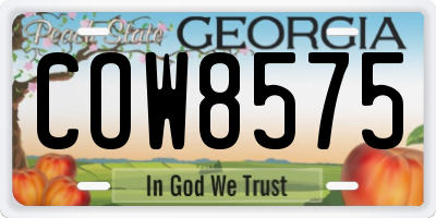 GA license plate COW8575